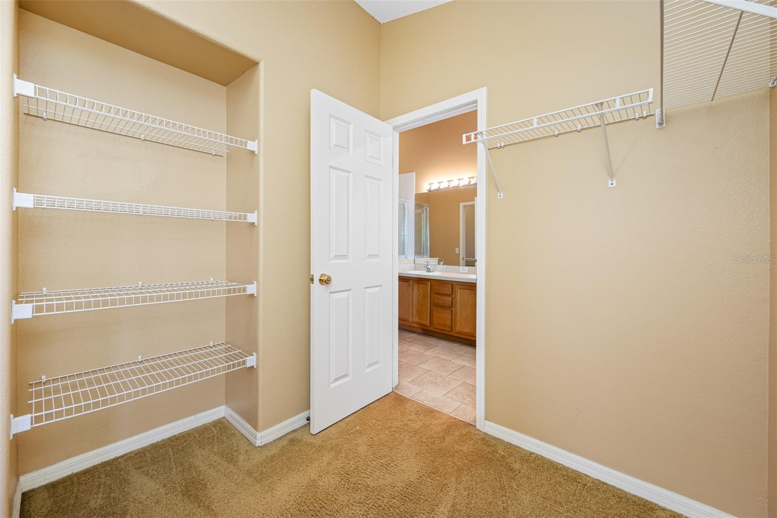 13058 THOROUGHBRED LOOP, LARGO, FL, 33773