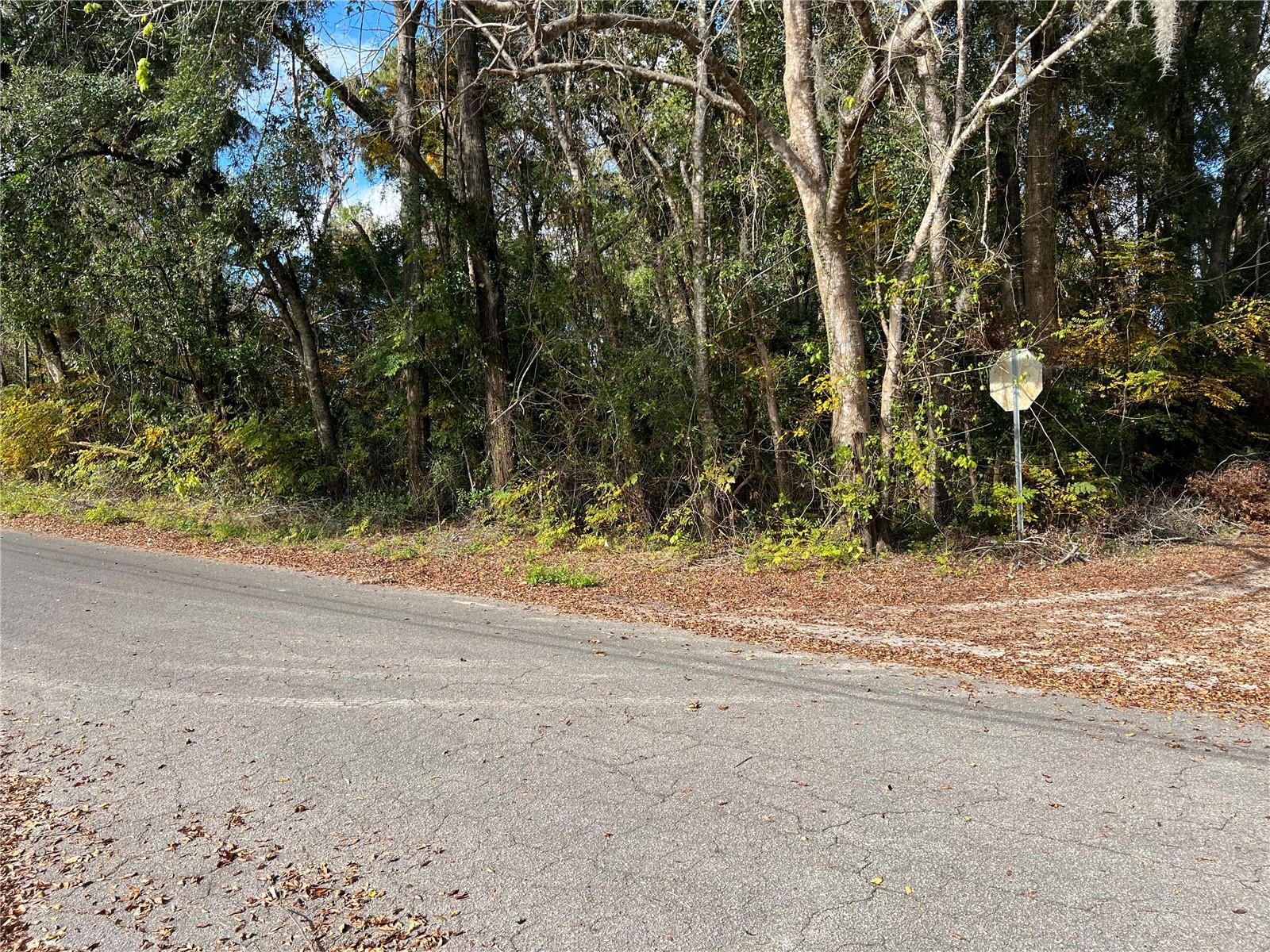 13289 SW SR45 RD, ARCHER, FL, 32618