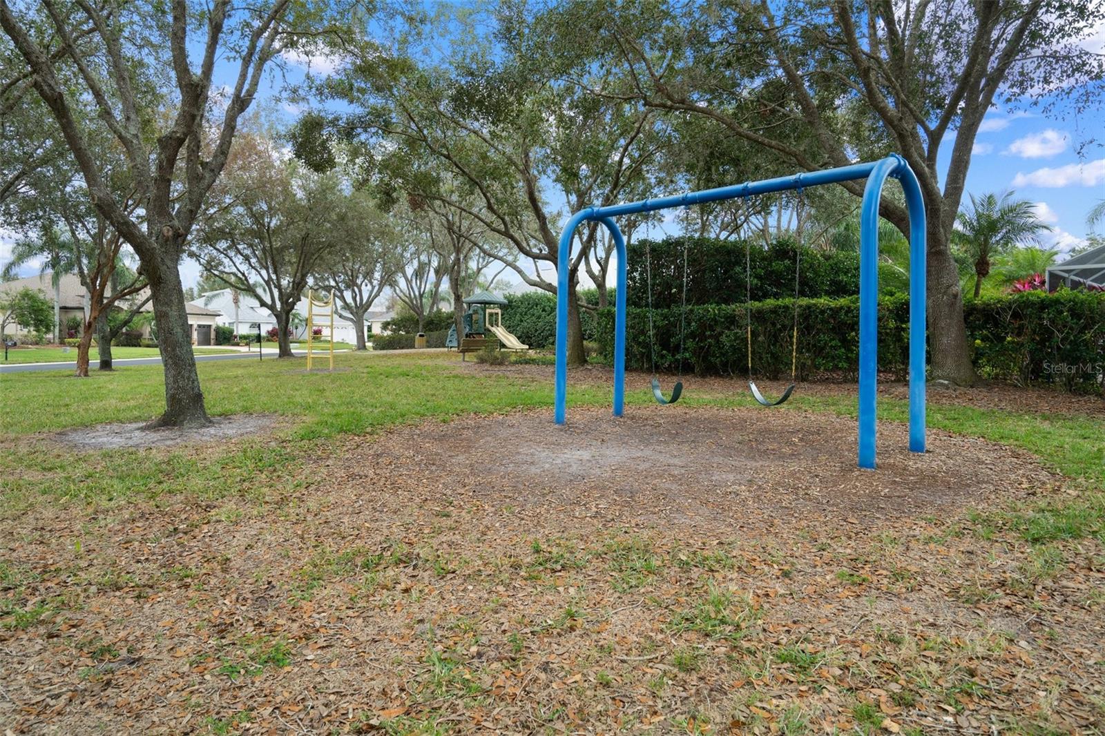 2342 EDELWEISS LOOP, TRINITY, FL, 34655