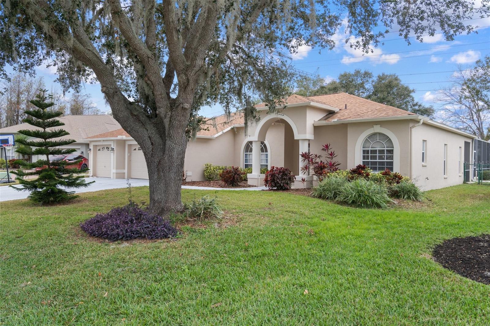 2342 EDELWEISS LOOP, TRINITY, FL, 34655