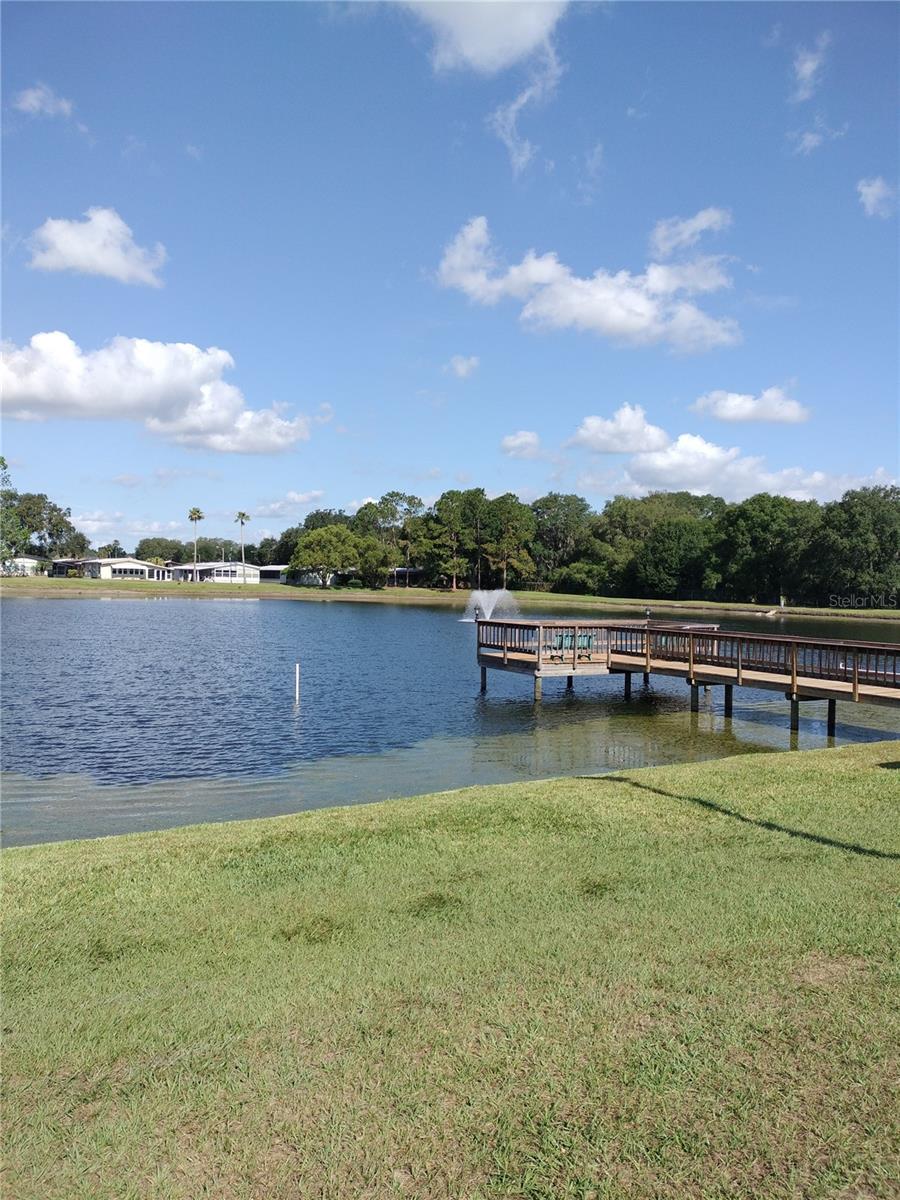 34421 COUNTRYSIDE DR, WESLEY CHAPEL, FL, 33543