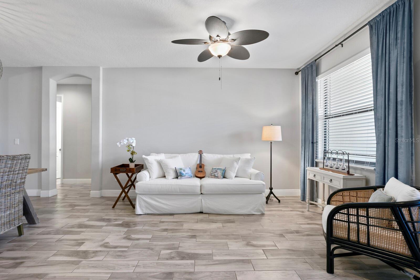 13614 TONYA ANNE DR, RIVERVIEW, FL, 33579