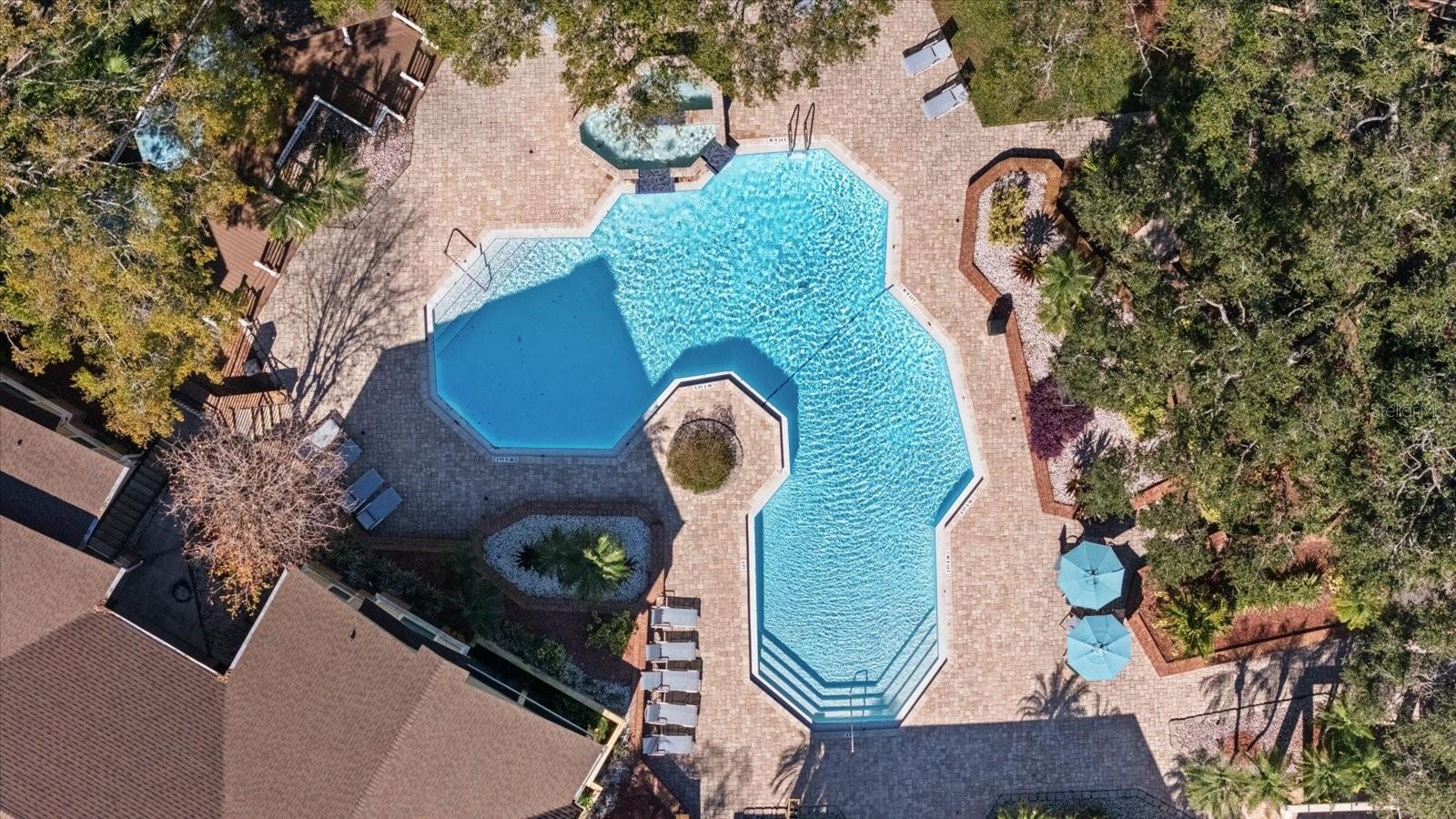 8724 MALLARD RESERVE DR #101, TAMPA, FL, 33614