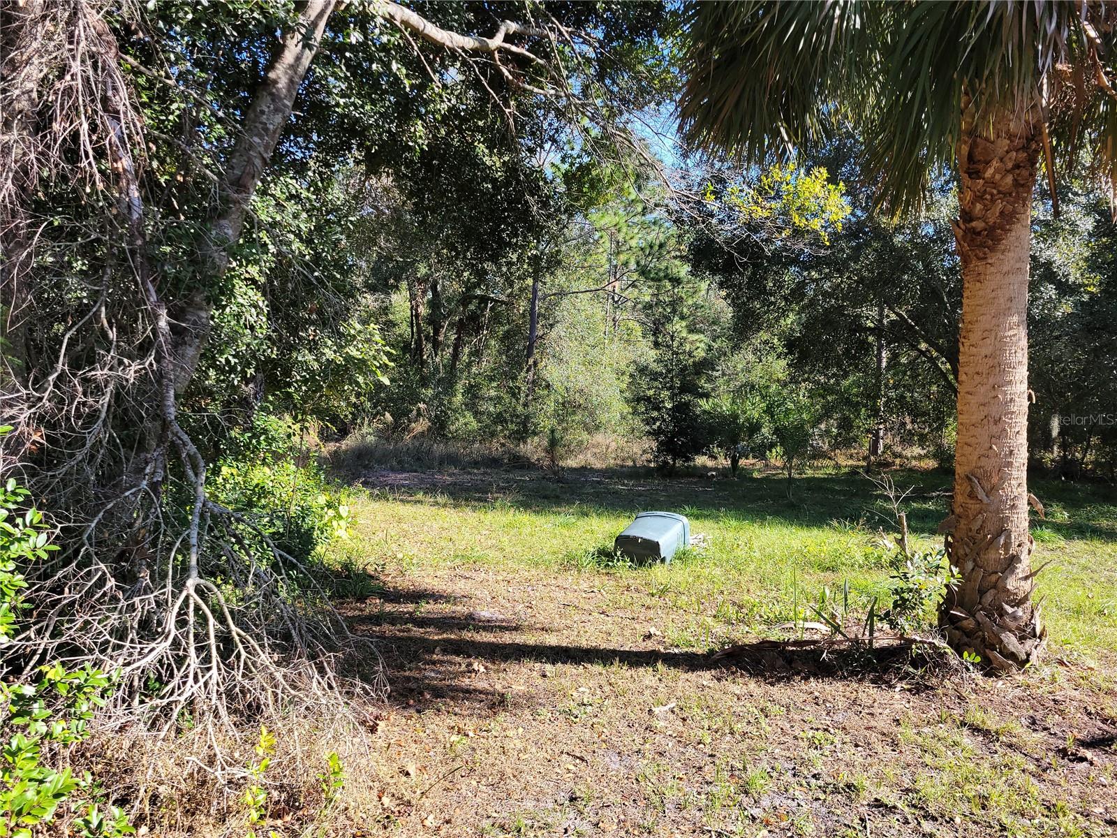 369 PLACID LAKE DR, SANFORD, FL, 32773