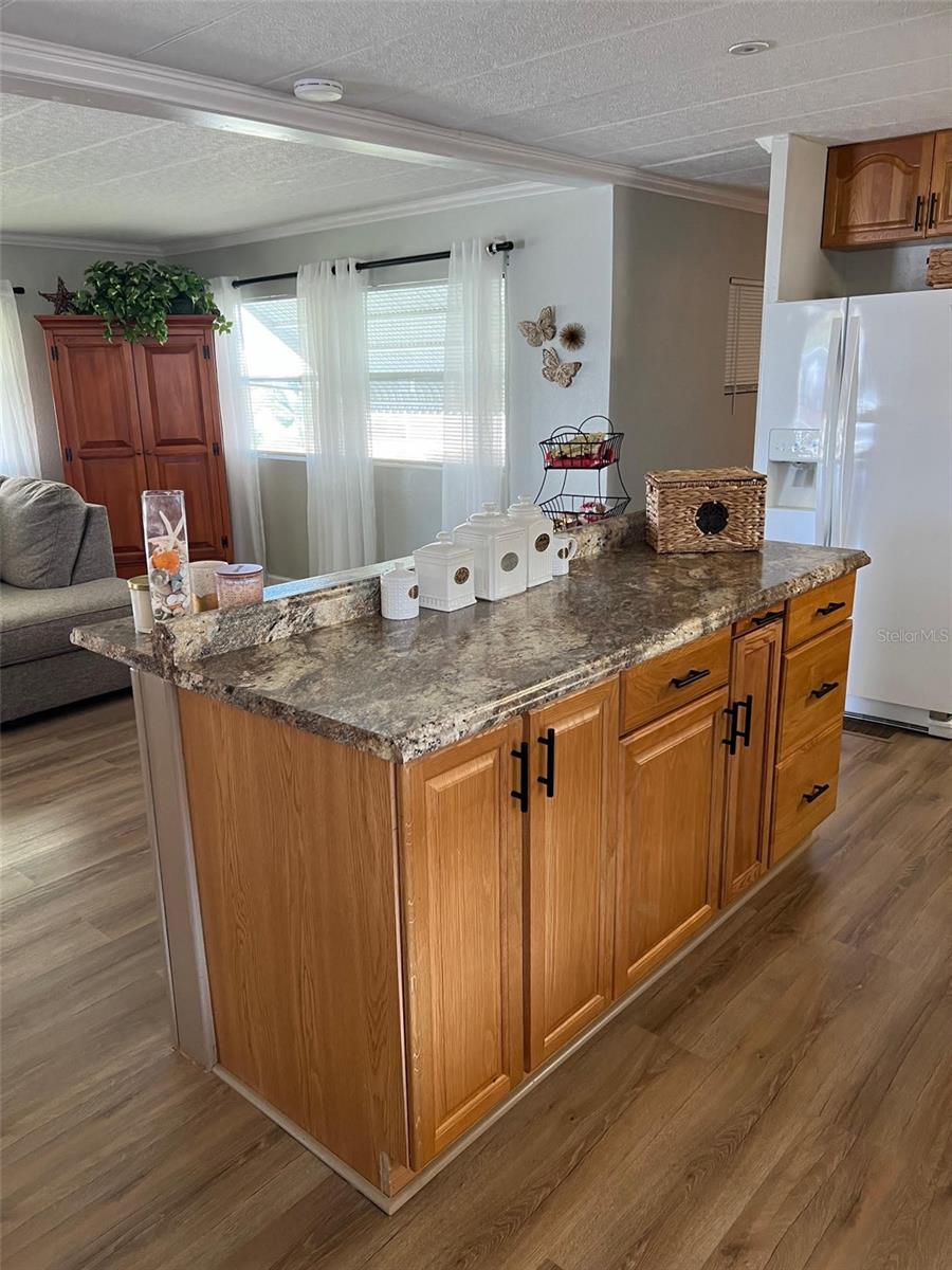 65 PINDO PALM ST W, LARGO, FL, 33770