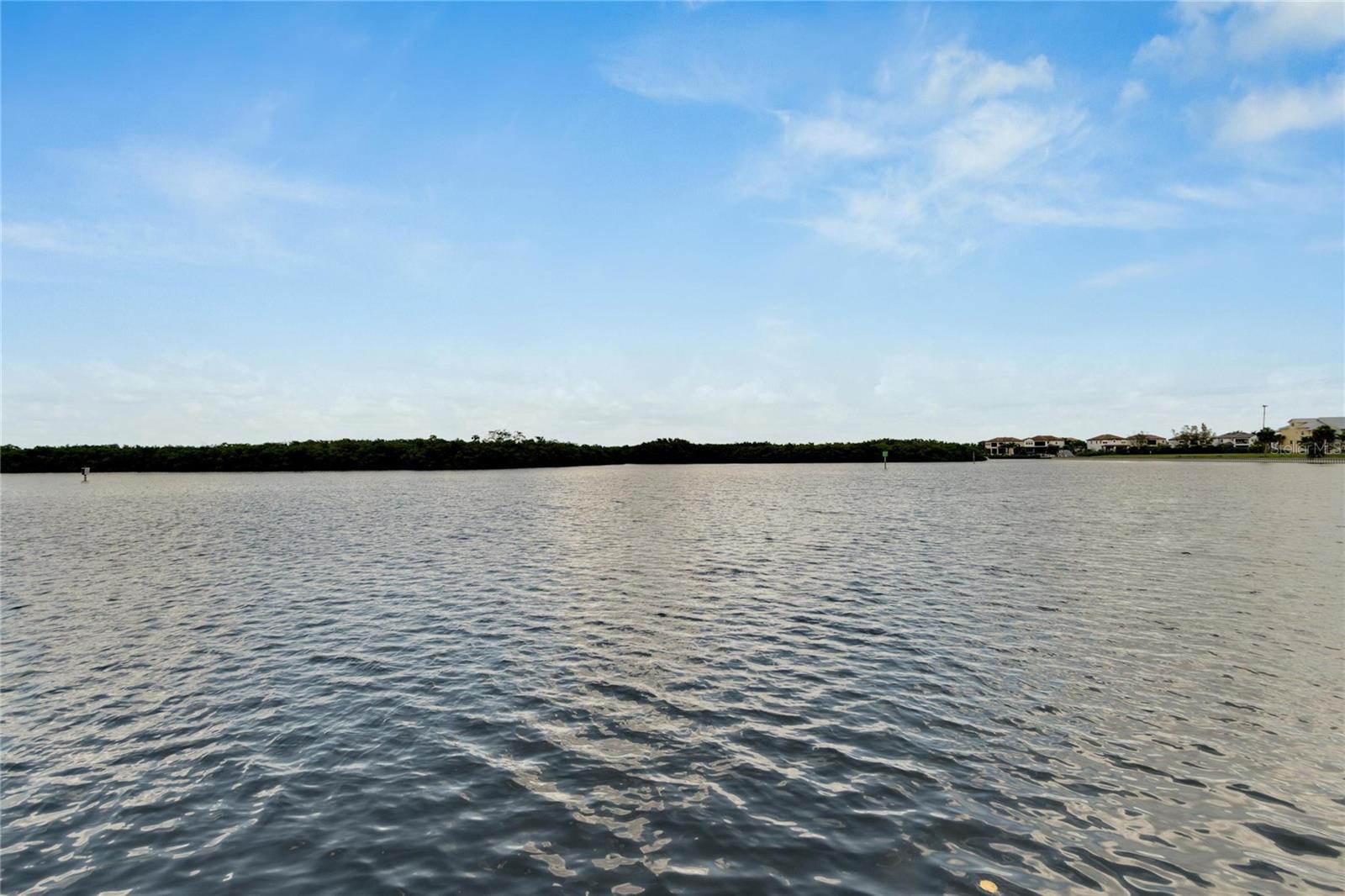 611 DESTINY DR #216, RUSKIN, FL, 33570