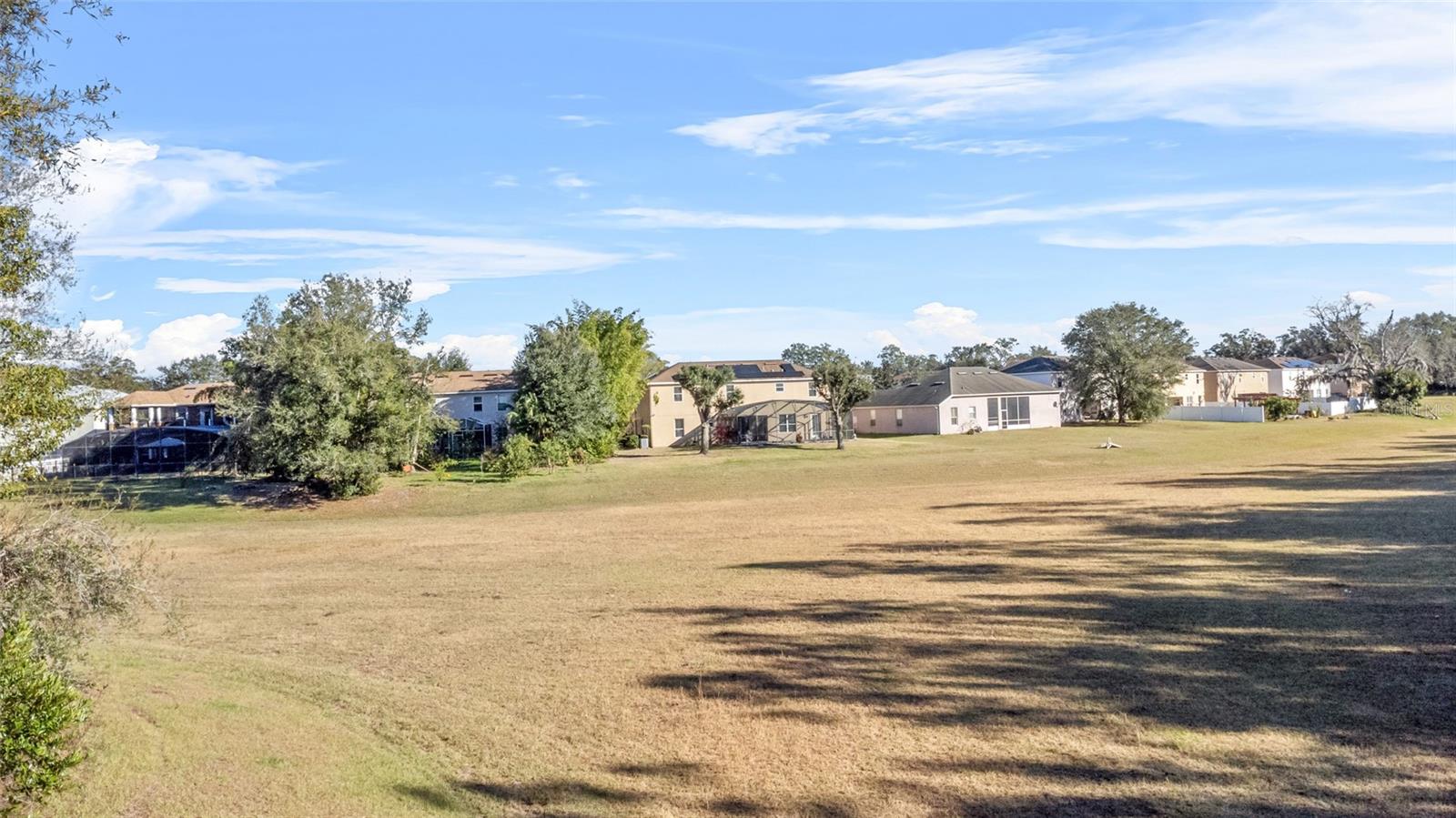 2136 LAUREL BLOSSOM CIR, OCOEE, FL, 34761