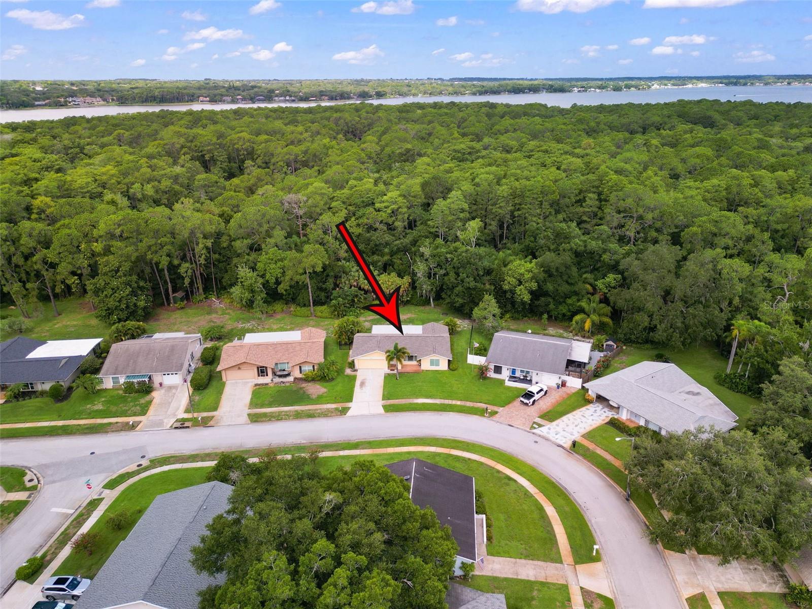 1010 MAINSAIL WAY, PALM HARBOR, FL, 34685