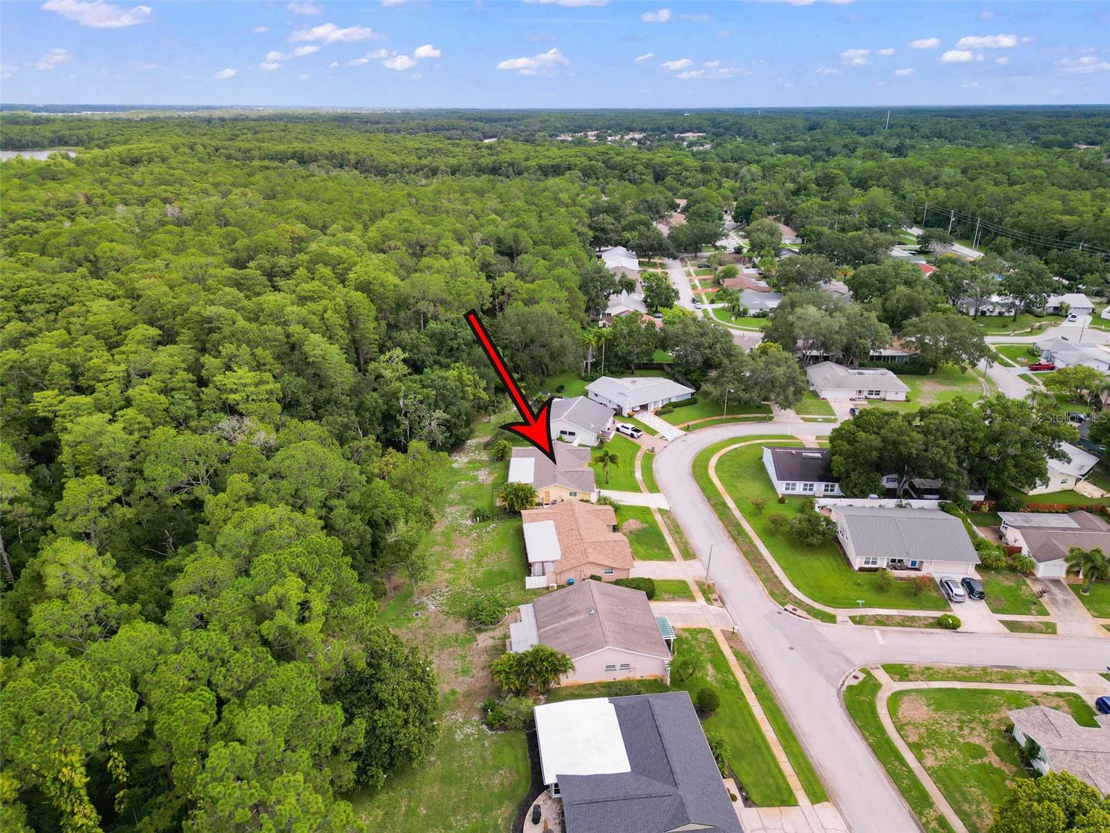 1010 MAINSAIL WAY, PALM HARBOR, FL, 34685