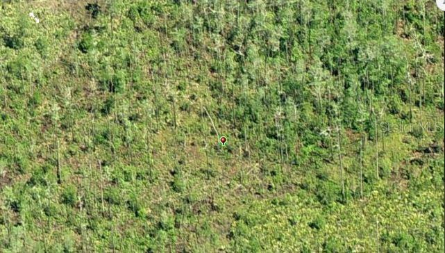 DILL RD, ORLANDO, FL, 32820