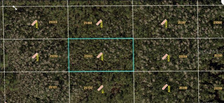 DILL RD, ORLANDO, FL, 32820