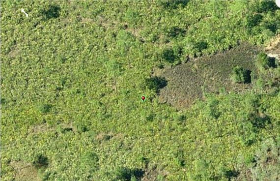 DILL RD, ORLANDO, FL, 32820