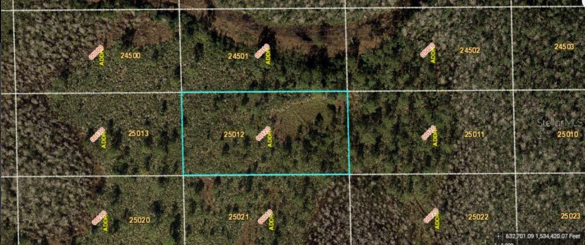 DILL RD, ORLANDO, FL, 32820