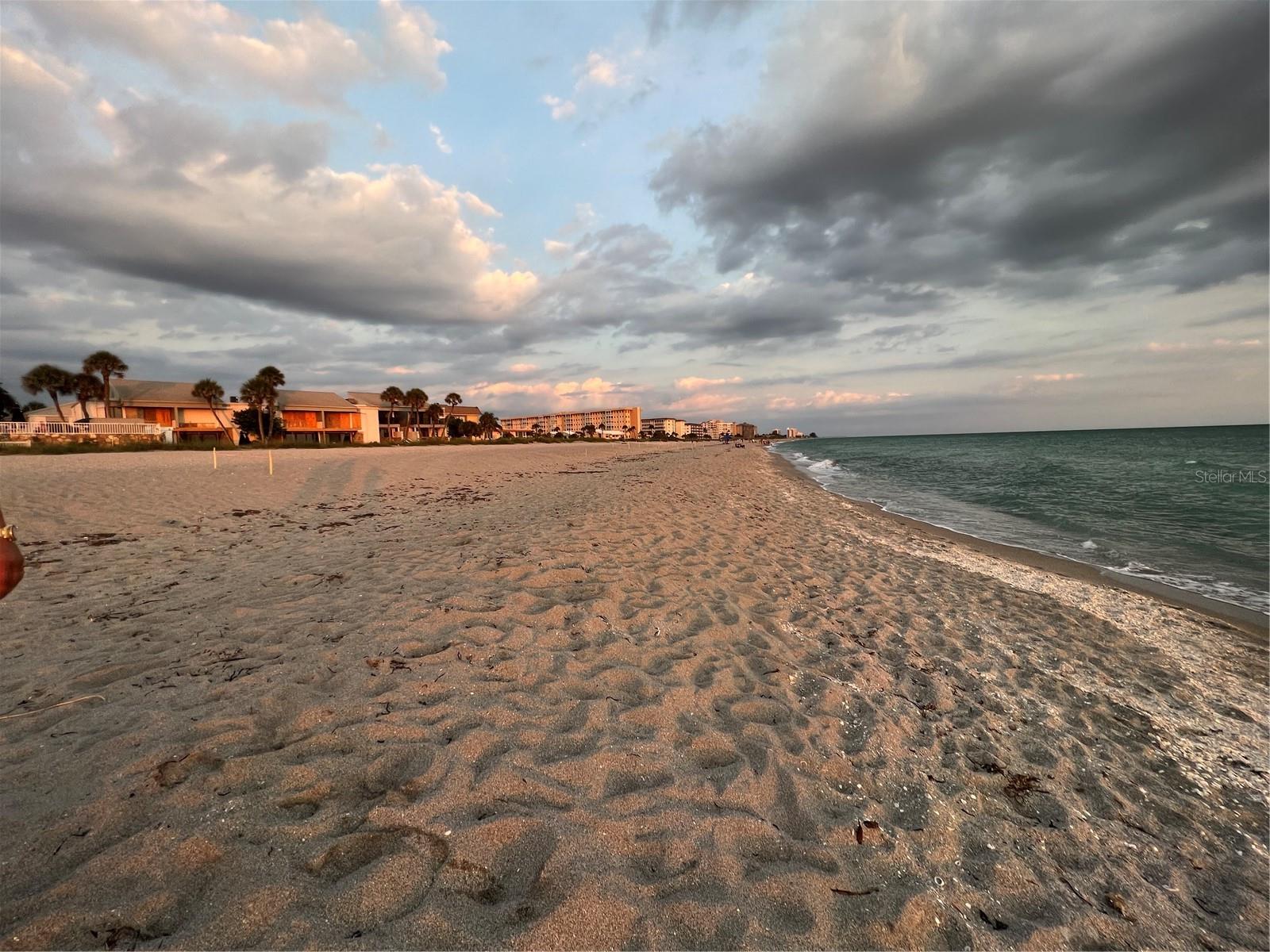 1555 TARPON CENTER DR #202, VENICE, FL, 34285