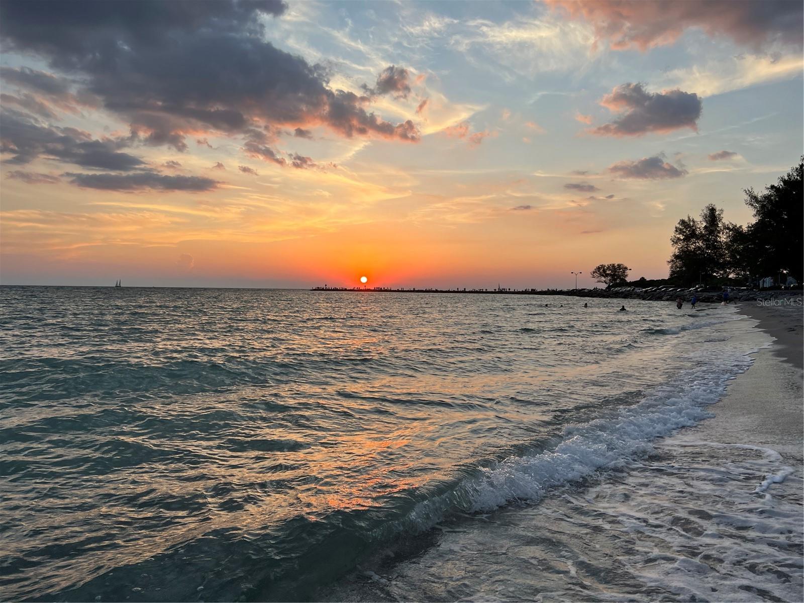 1555 TARPON CENTER DR #202, VENICE, FL, 34285