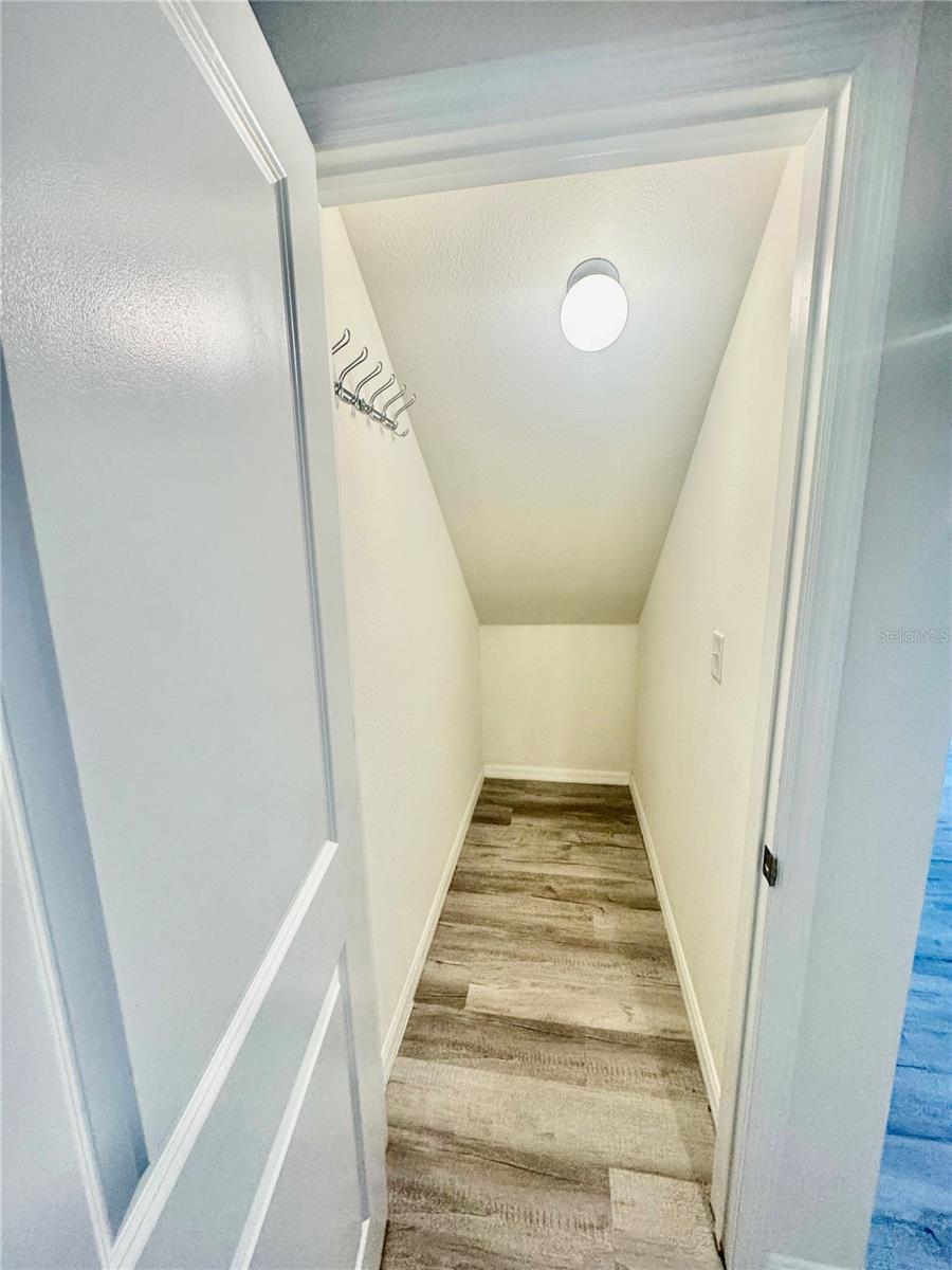 5435 DRAGONFLY DR, WILDWOOD, FL, 34785