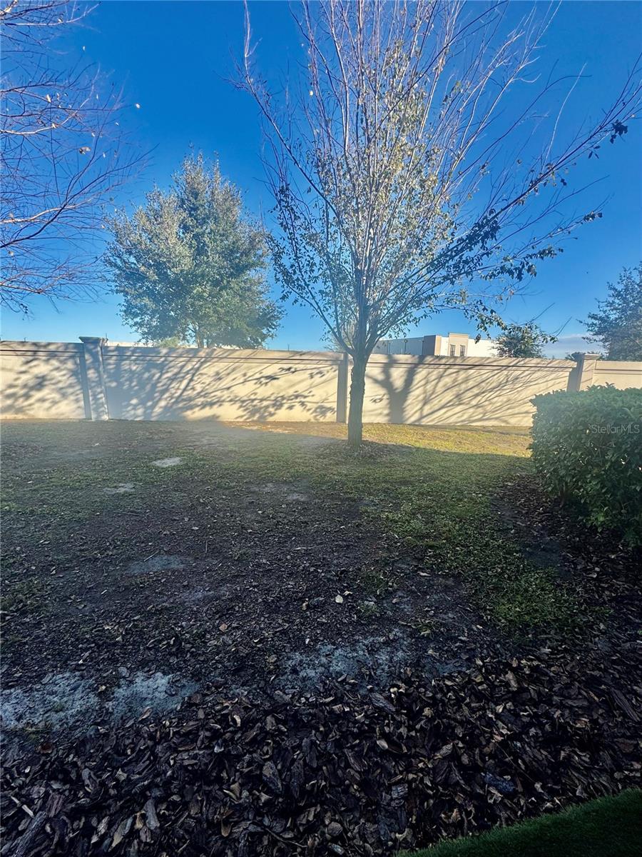 5435 DRAGONFLY DR, WILDWOOD, FL, 34785