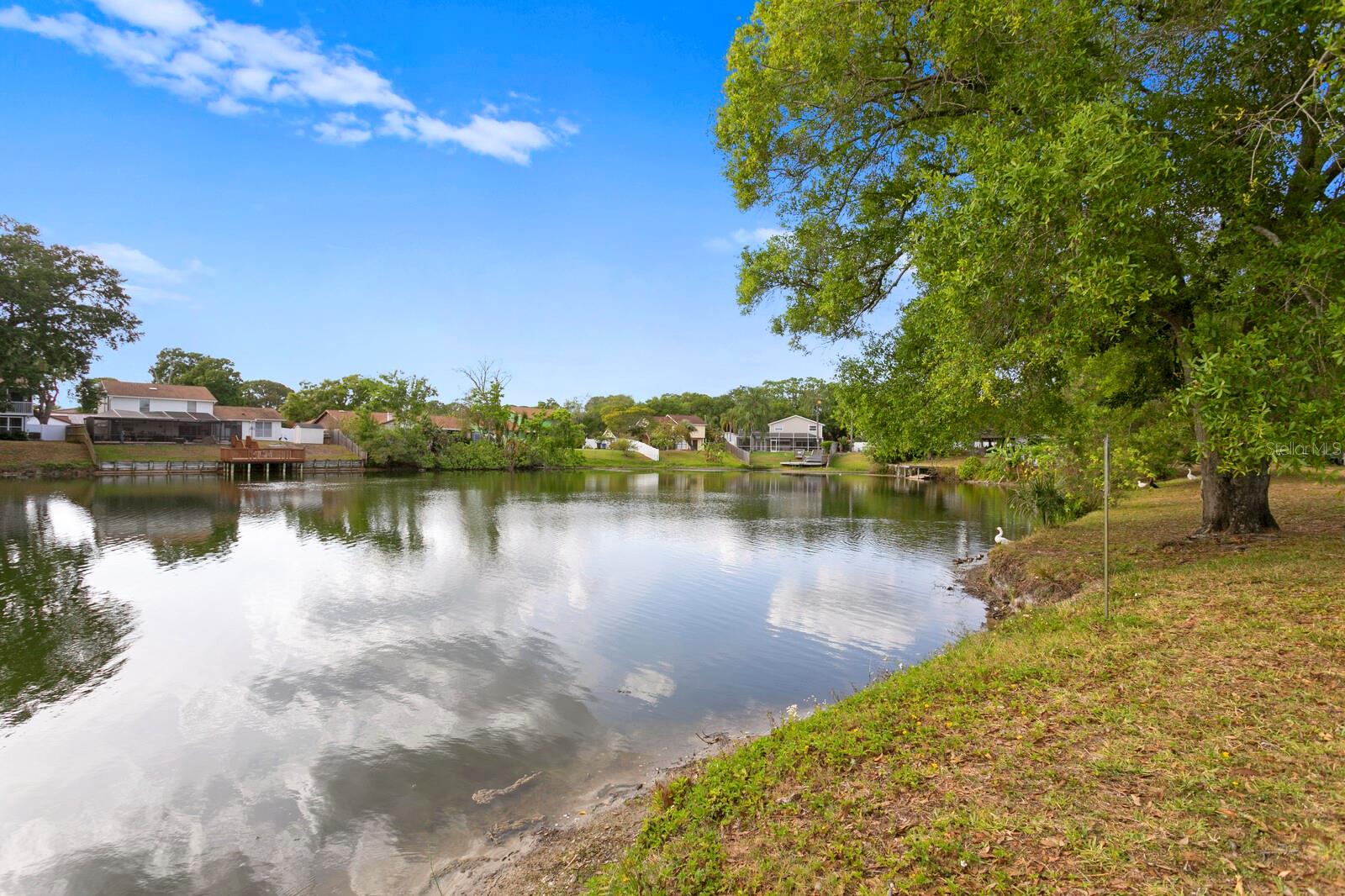 7601 OAKMOOR DR, TAMPA, FL, 33634