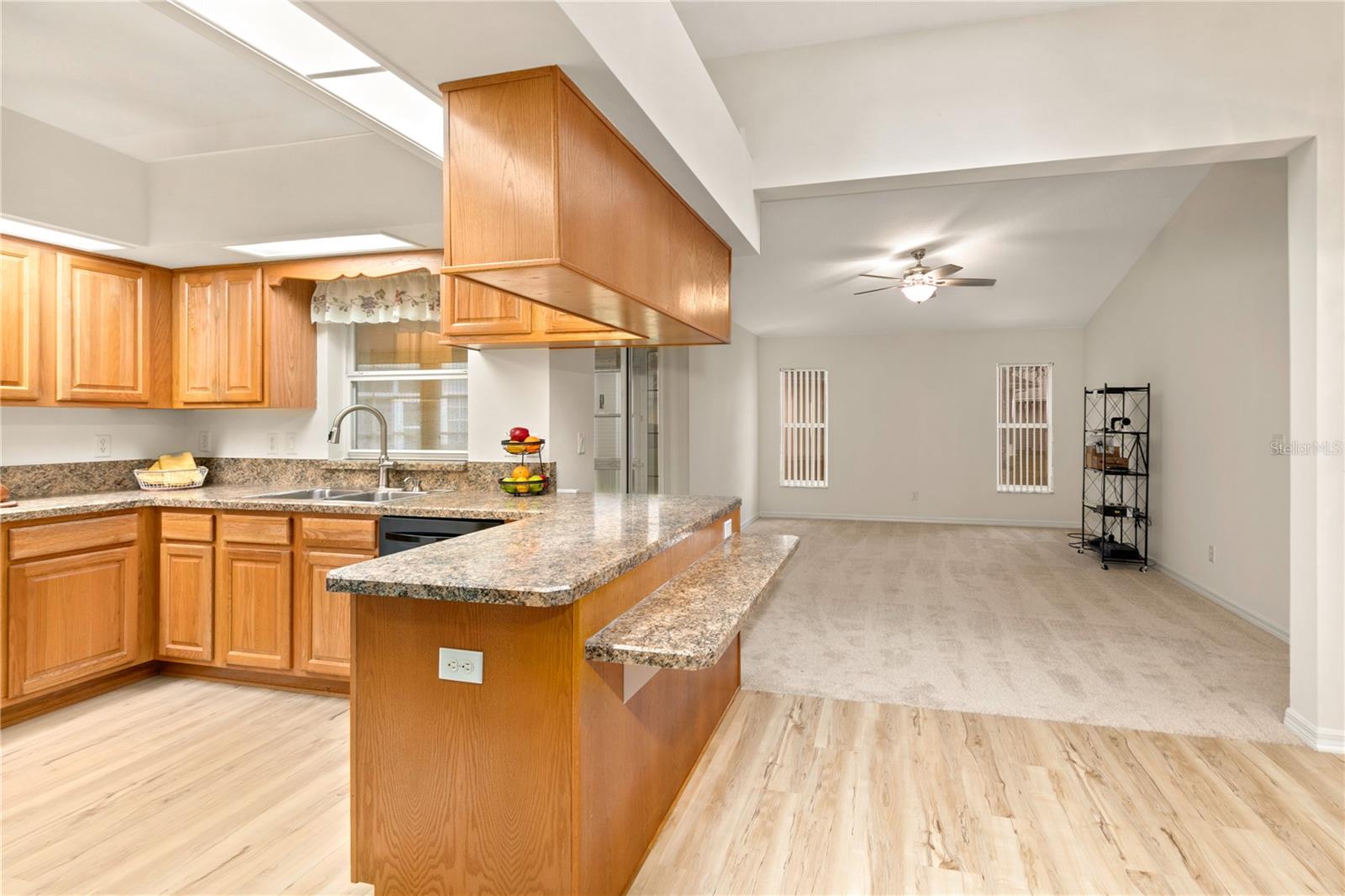 21721 LOCH HAVEN PASS, LEESBURG, FL, 34748