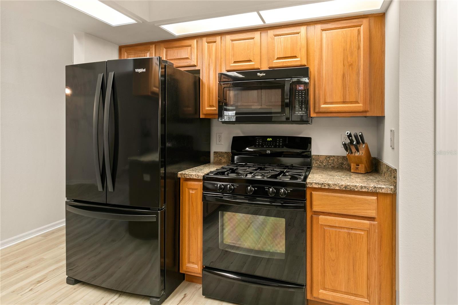 21721 LOCH HAVEN PASS, LEESBURG, FL, 34748