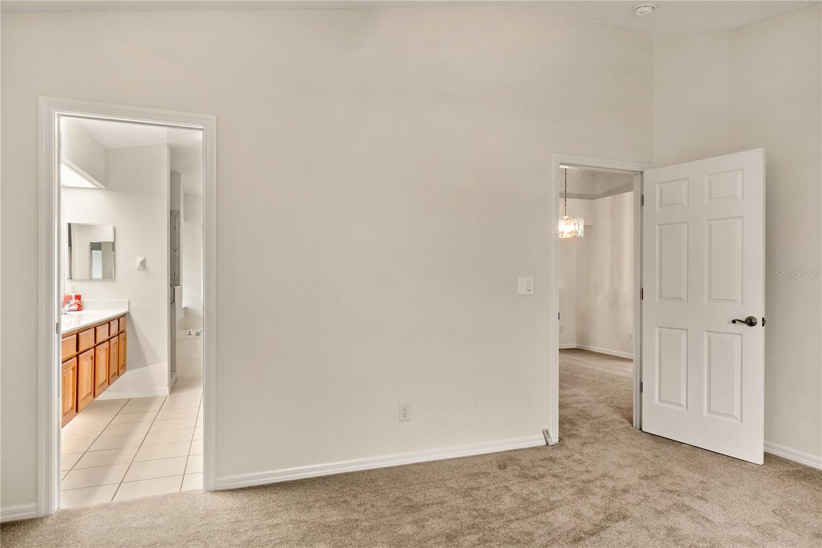 21721 LOCH HAVEN PASS, LEESBURG, FL, 34748