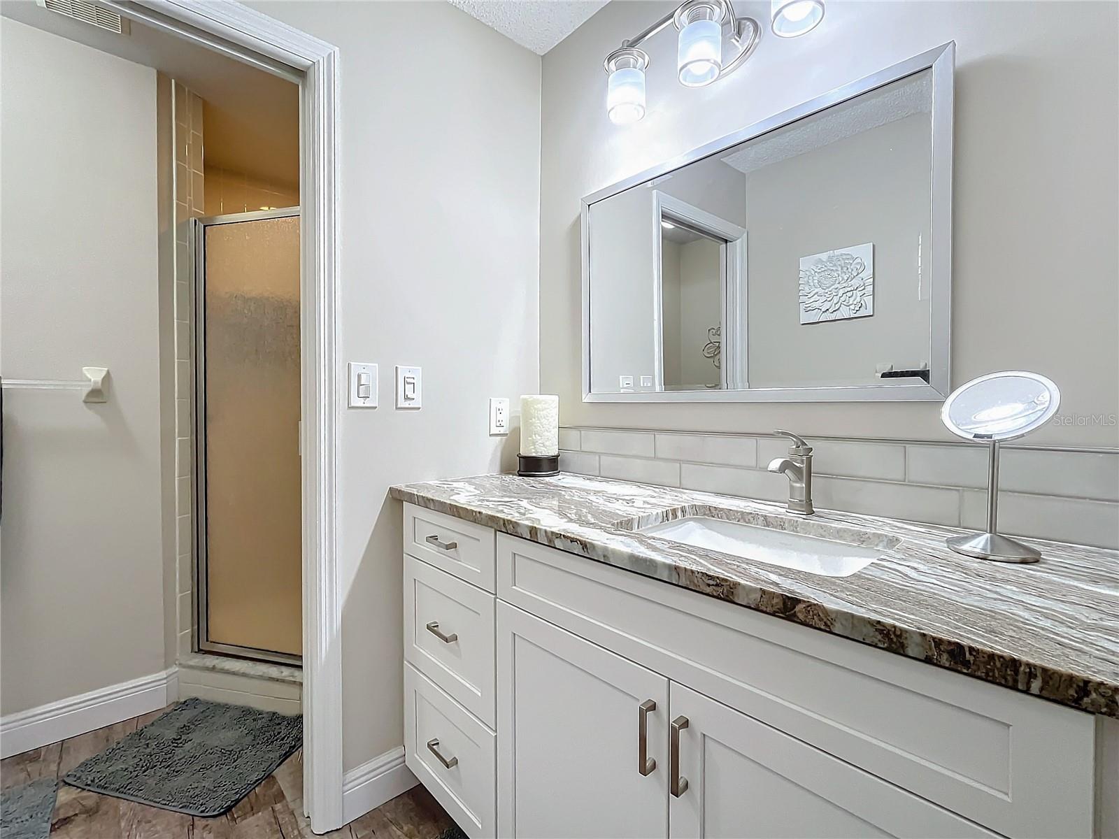 1530 REBECCA LN #401, DUNEDIN, FL, 34698