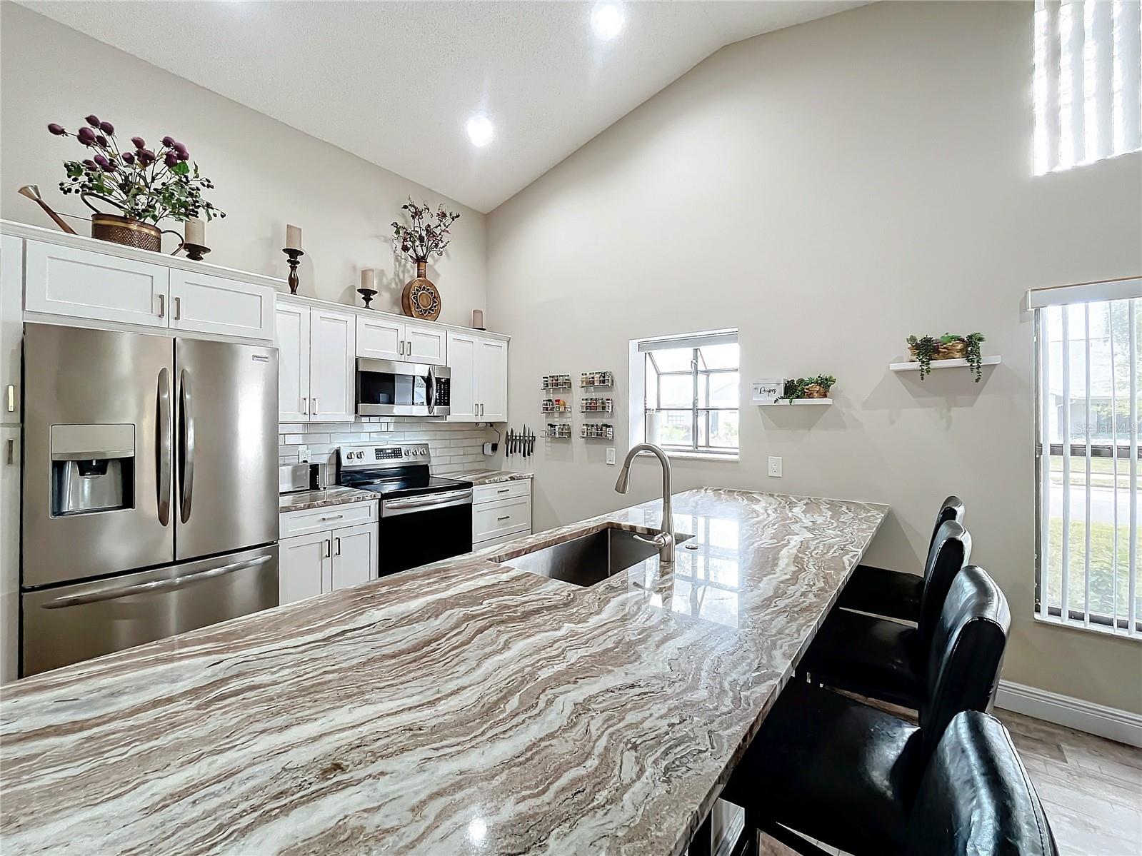 1530 REBECCA LN #401, DUNEDIN, FL, 34698