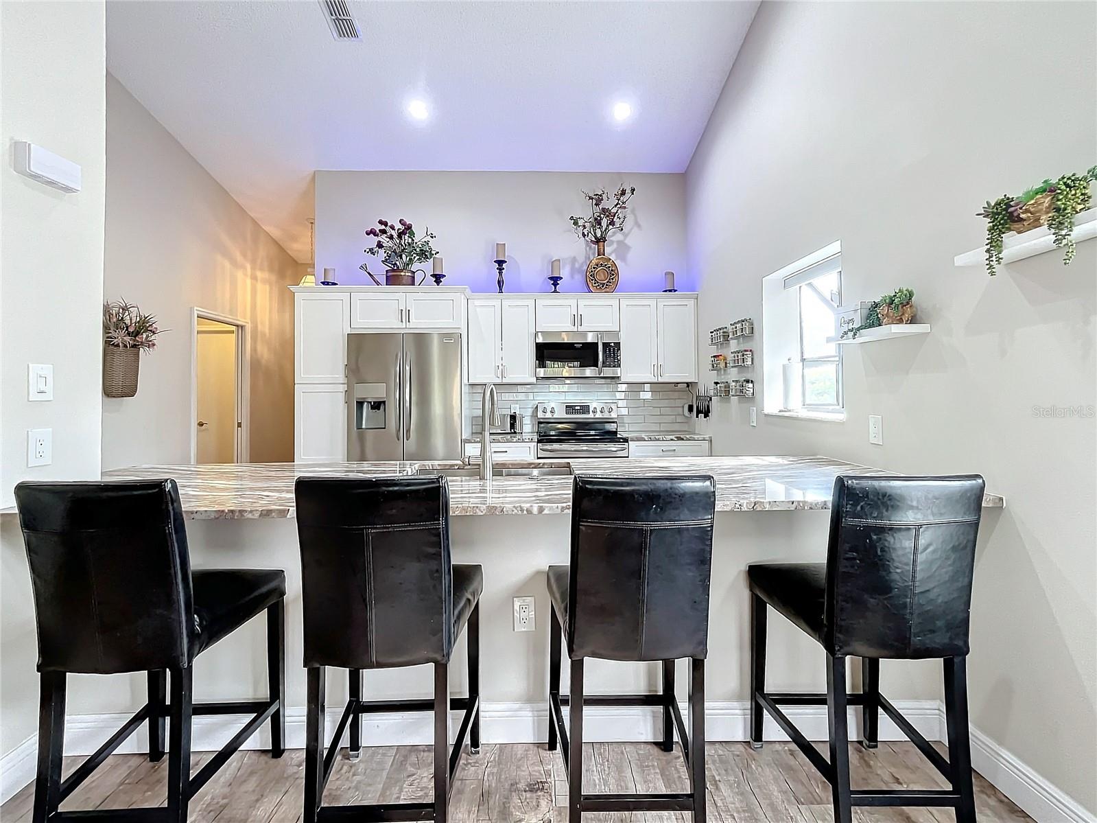 1530 REBECCA LN #401, DUNEDIN, FL, 34698