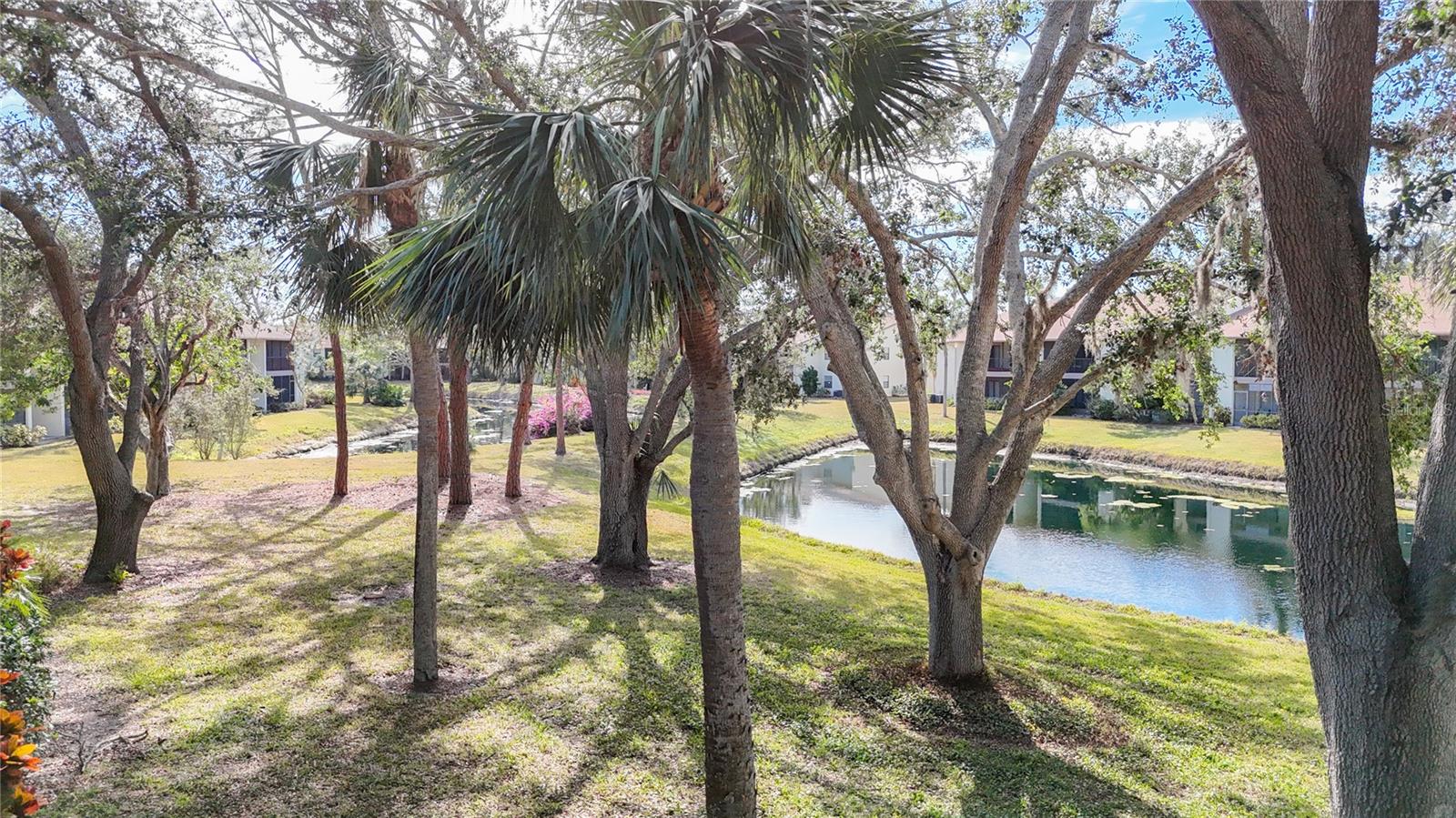 654 BIRD BAY DR E #206, VENICE, FL, 34285