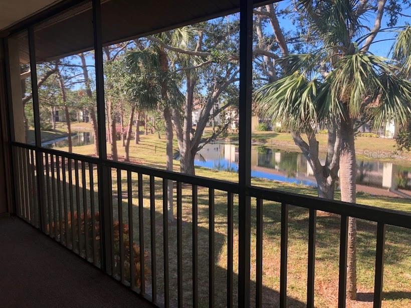 654 BIRD BAY DR E #206, VENICE, FL, 34285