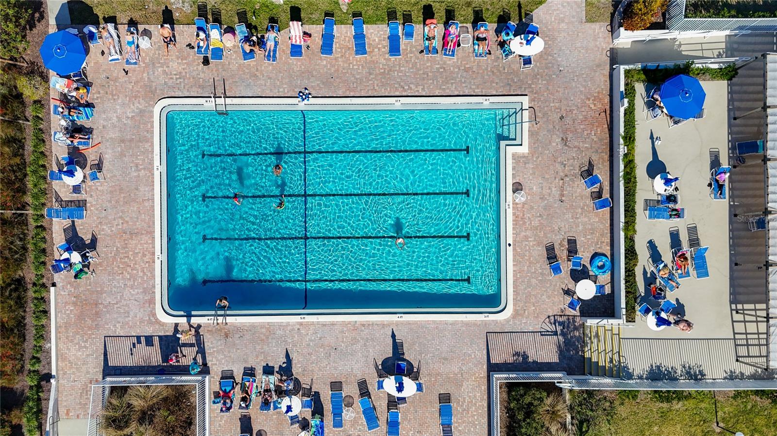 654 BIRD BAY DR E #206, VENICE, FL, 34285