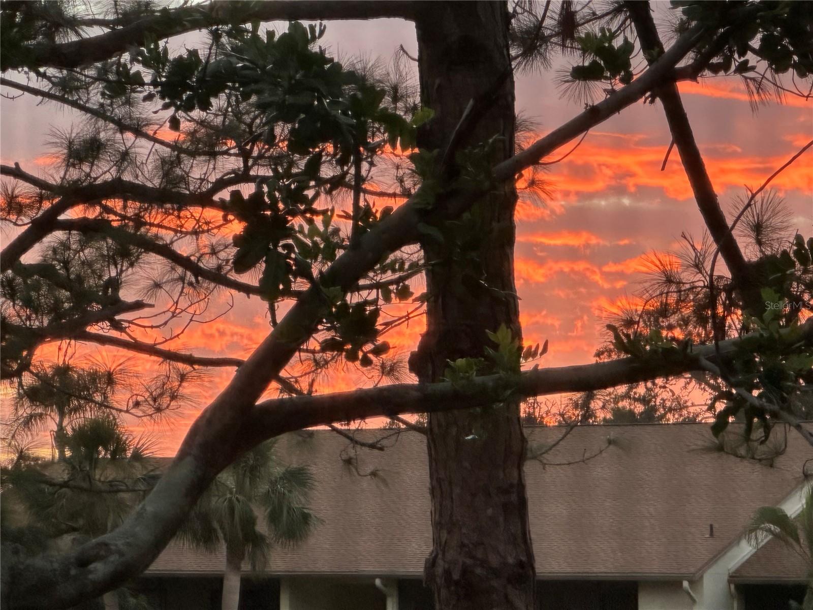 654 BIRD BAY DR E #206, VENICE, FL, 34285