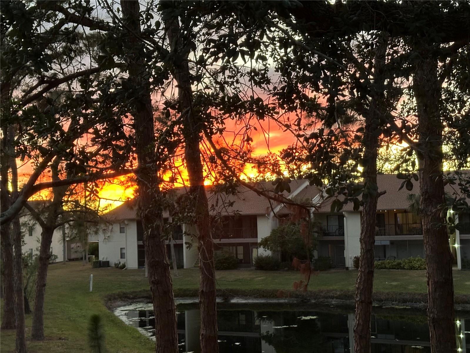 654 BIRD BAY DR E #206, VENICE, FL, 34285