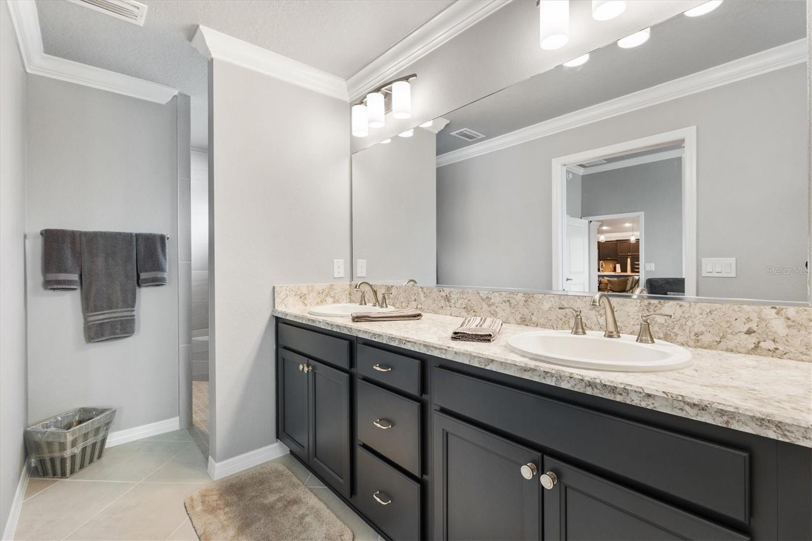 2484 LYNETTE AVE, THE VILLAGES, FL, 32163