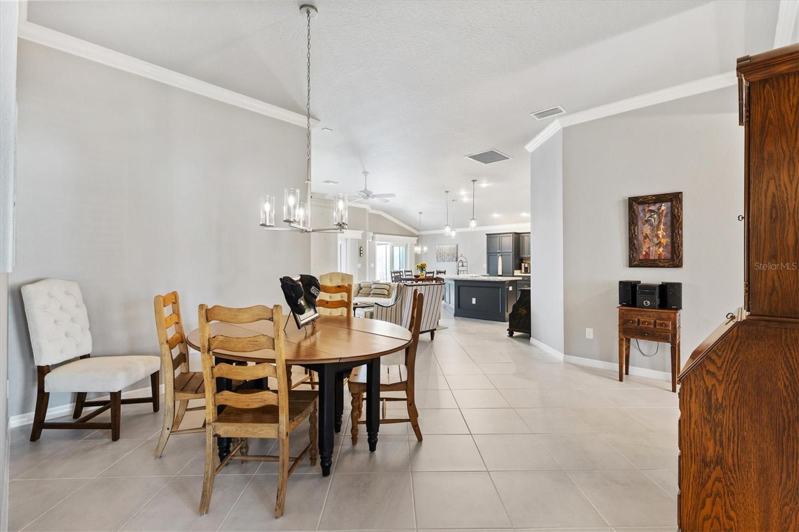 2484 LYNETTE AVE, THE VILLAGES, FL, 32163