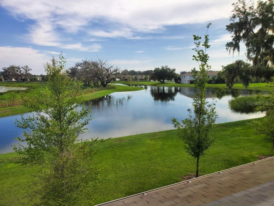 5278 DRAGONFLY DR, WILDWOOD, FL, 34785