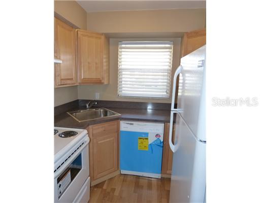 439 PAULA DR S #207, DUNEDIN, FL, 34698