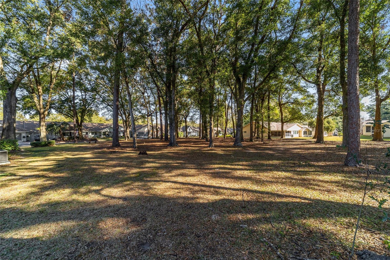 8750 SW 91ST PL #A, OCALA, FL, 34481