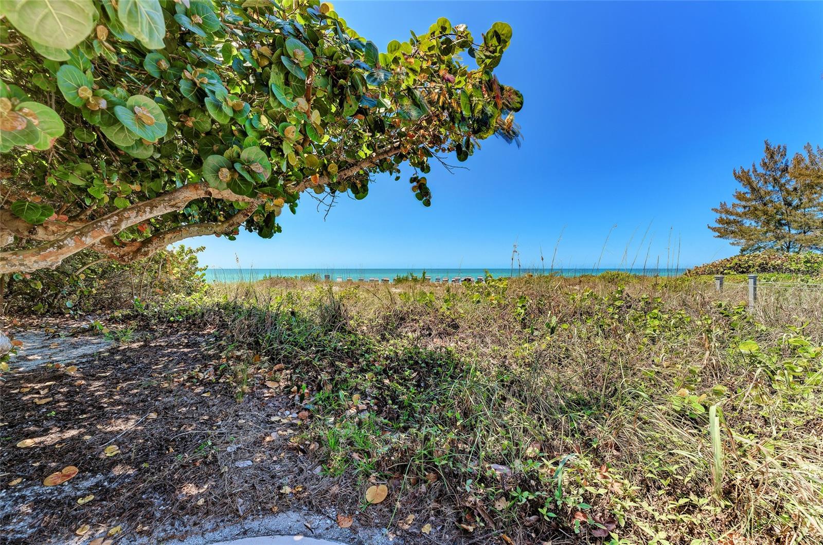 5125 GULF OF MEXICO DR #7, LONGBOAT KEY, FL, 34228