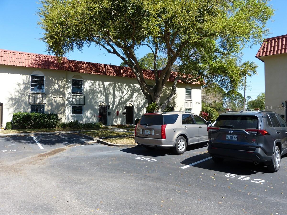 2700 BAYSHORE BLVD #580, DUNEDIN, FL, 34698