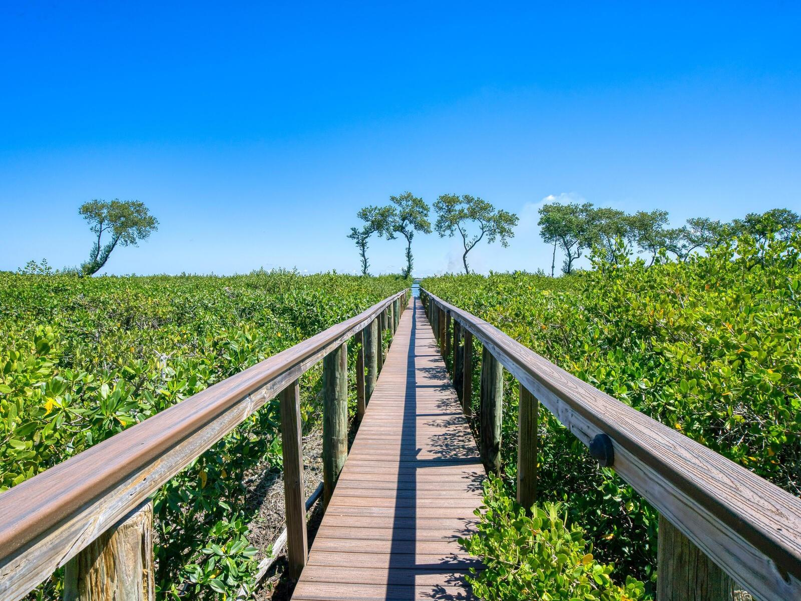 12317 BAYPOINTE TER, CORTEZ, FL, 34215