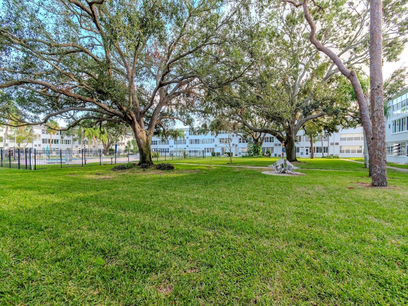 1000 79TH AVE N #102, ST PETERSBURG, FL, 33702