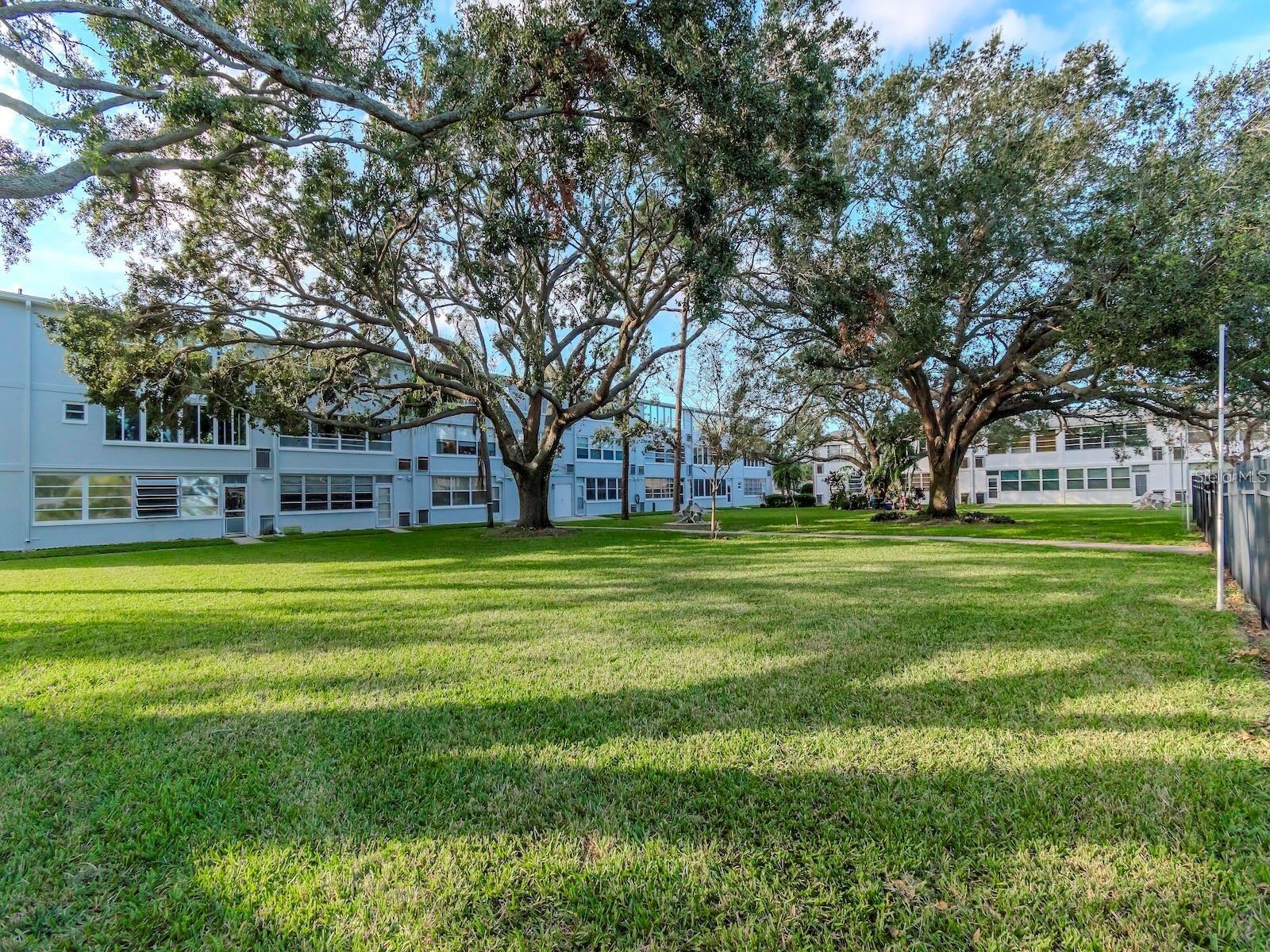 1000 79TH AVE N #102, ST PETERSBURG, FL, 33702