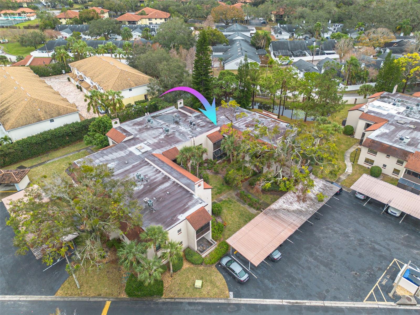 2971 ESTANCIA BLVD #326, CLEARWATER, FL, 33761