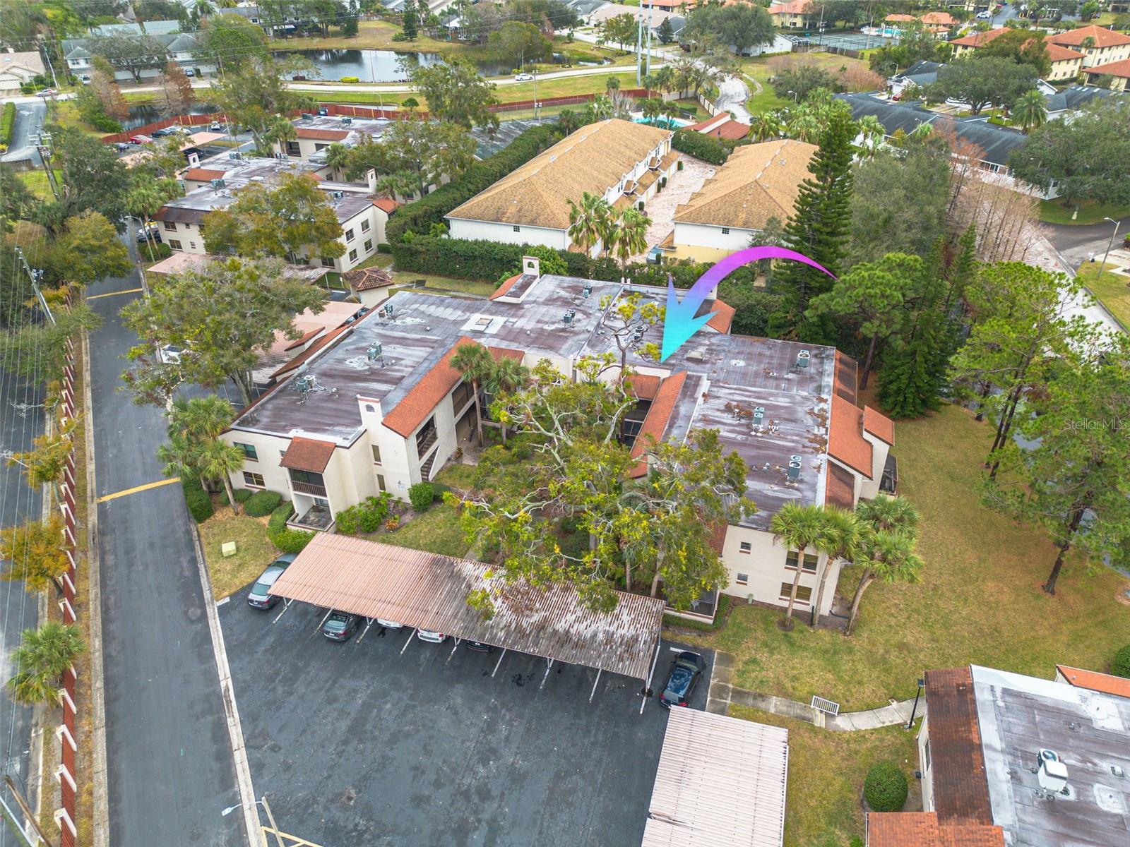2971 ESTANCIA BLVD #326, CLEARWATER, FL, 33761