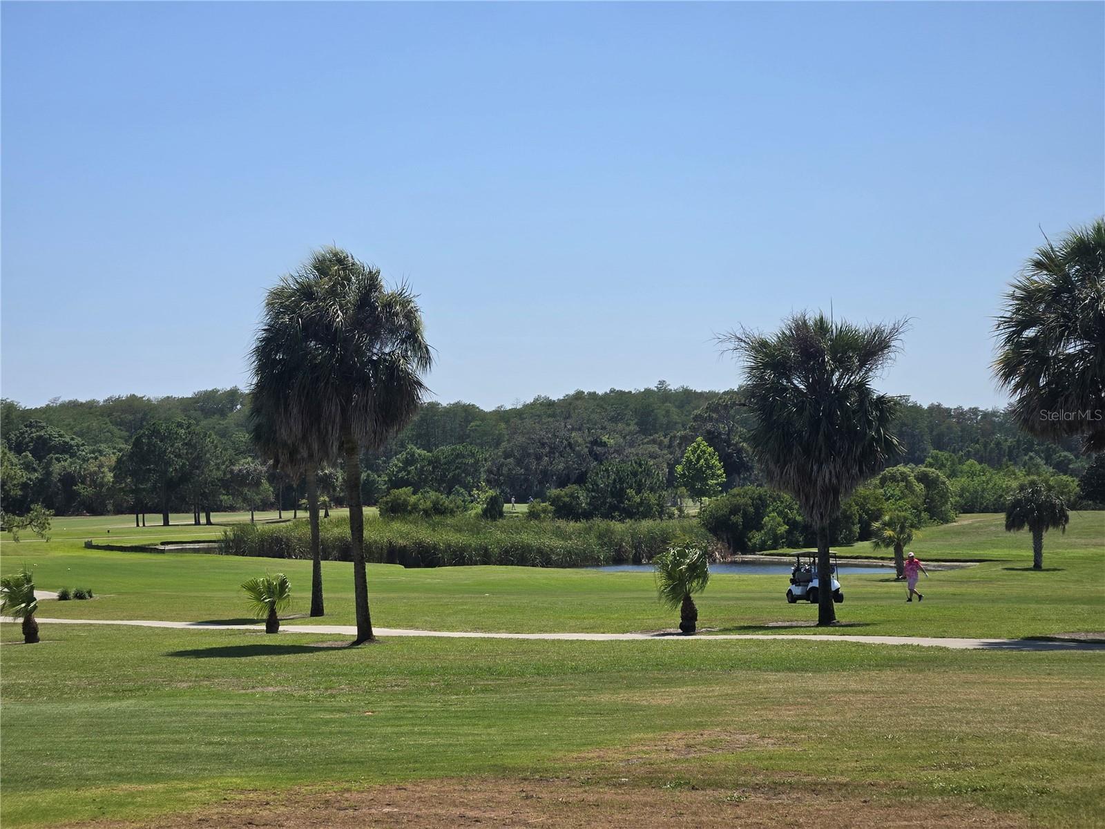 39820 US HIGHWAY 19 N #166, TARPON SPRINGS, FL, 34689