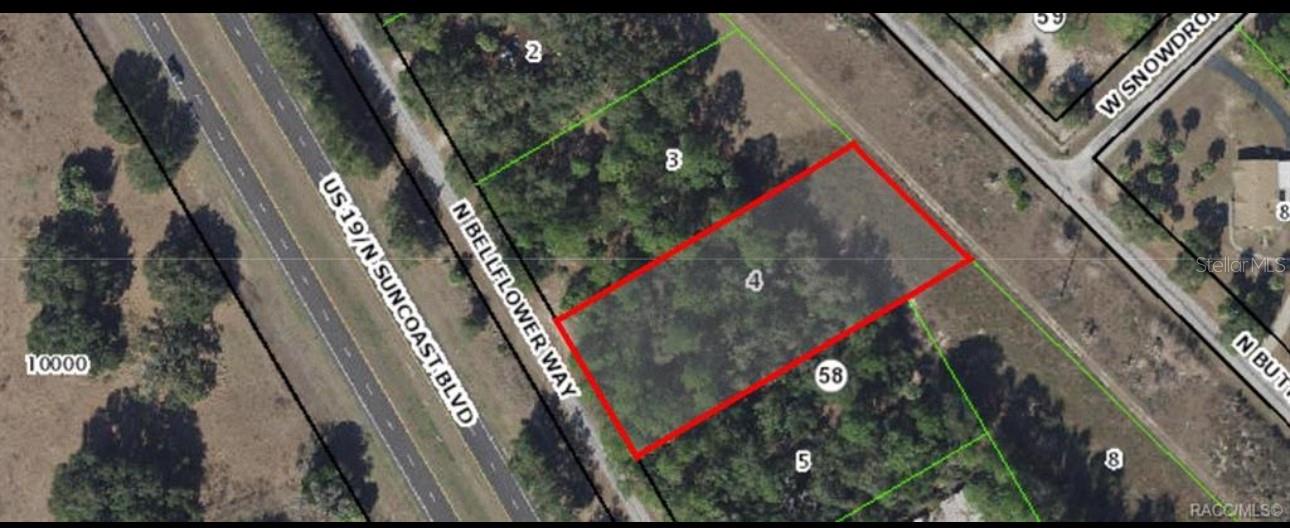 8835 N BELLFLOWER WAY, CRYSTAL RIVER, FL, 34428