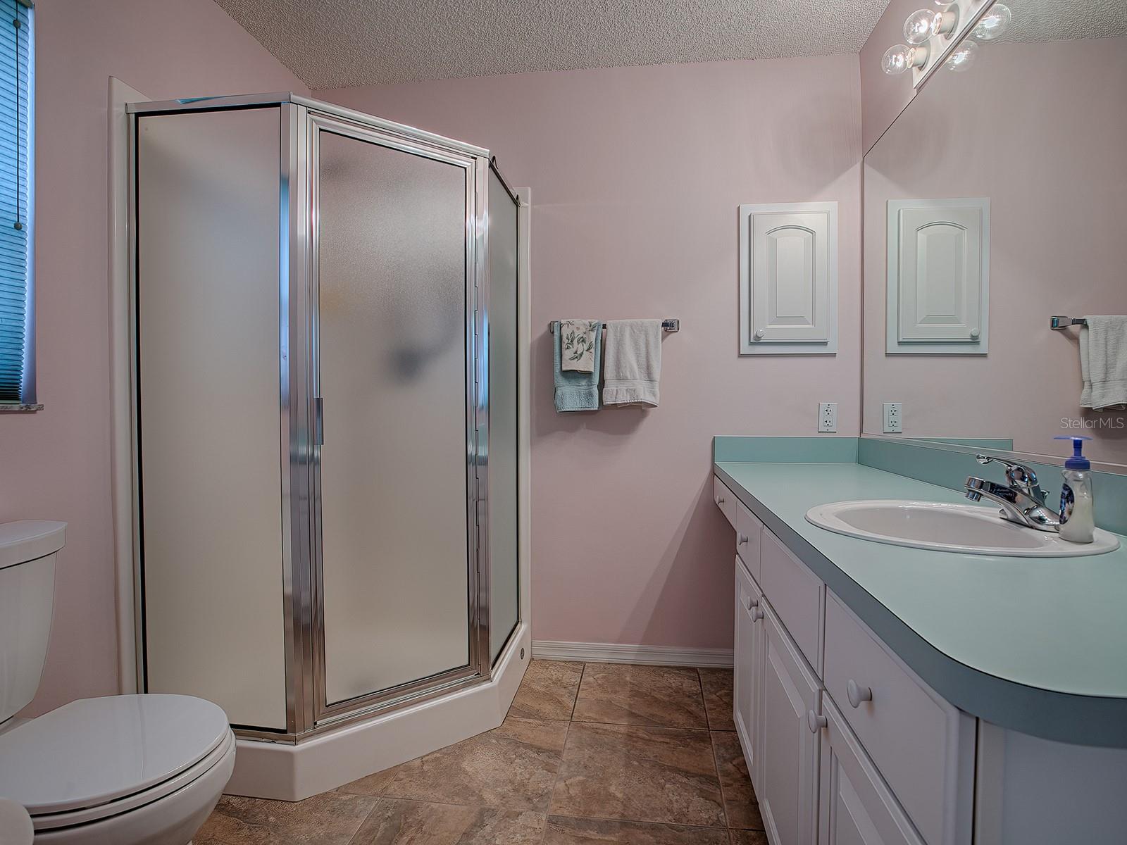1218 AUGUSTINE DR, THE VILLAGES, FL, 32159