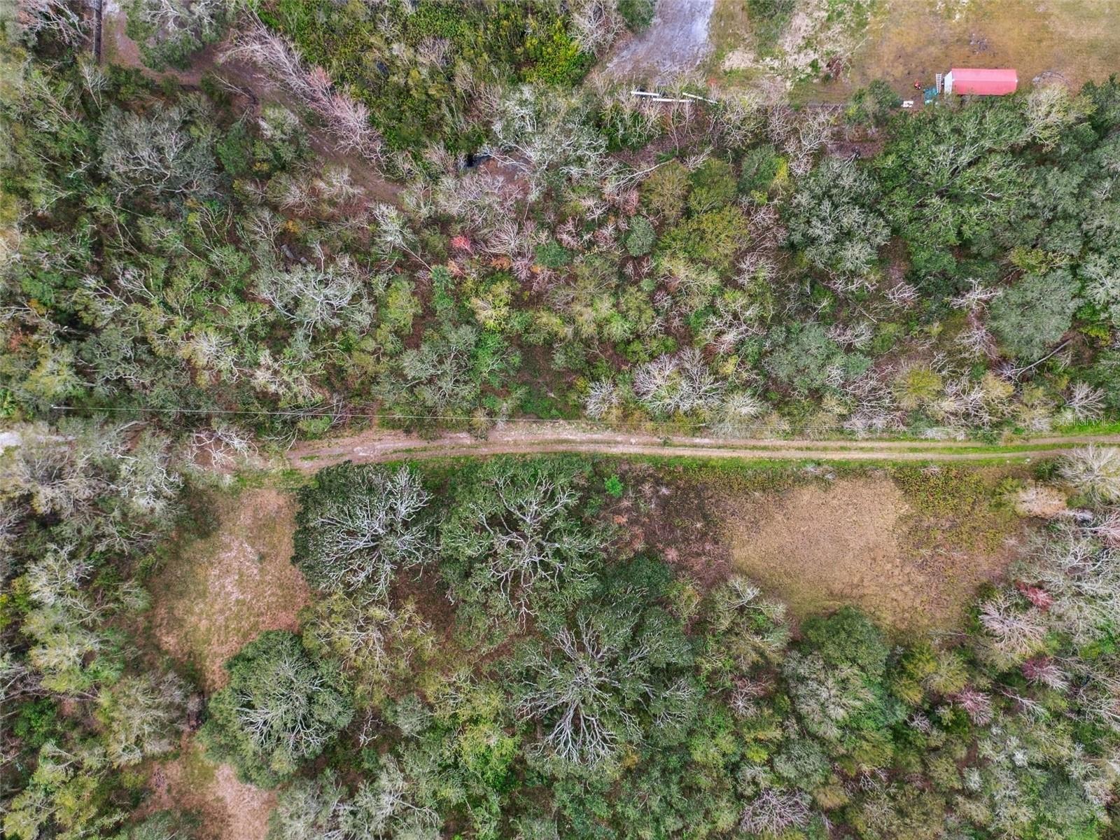 6930 MUCK POND RD, SEFFNER, FL, 33584