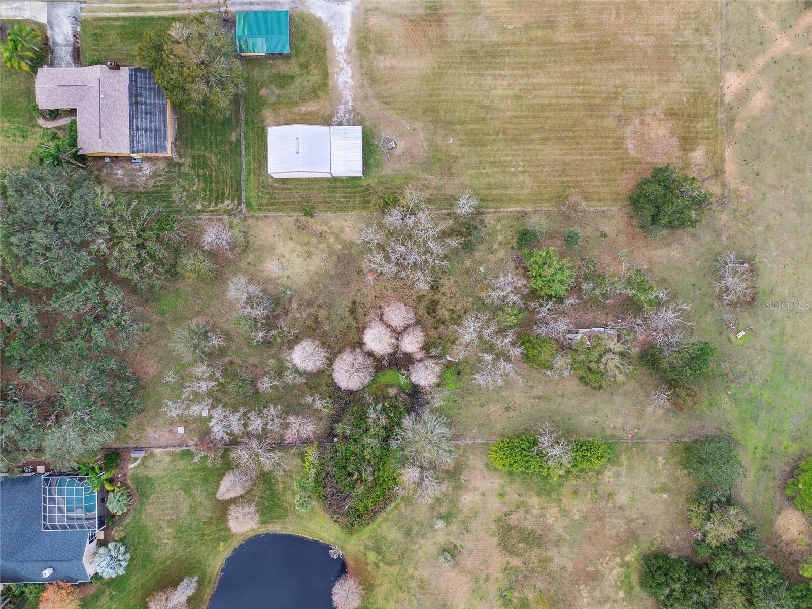 6930 MUCK POND RD, SEFFNER, FL, 33584